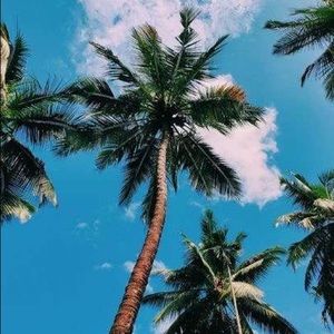 Meet your Posher, Kailey